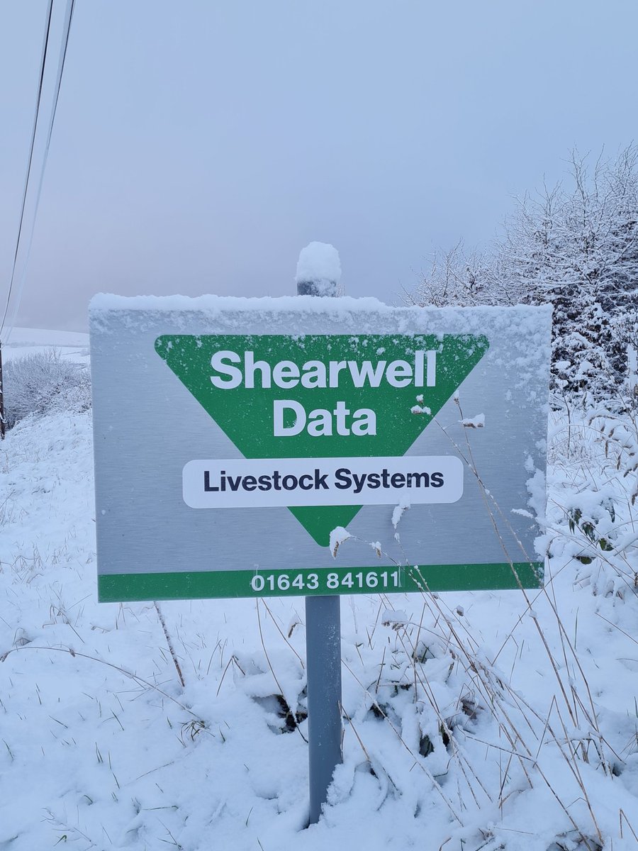 Shearwell Data Ltd tweet media
