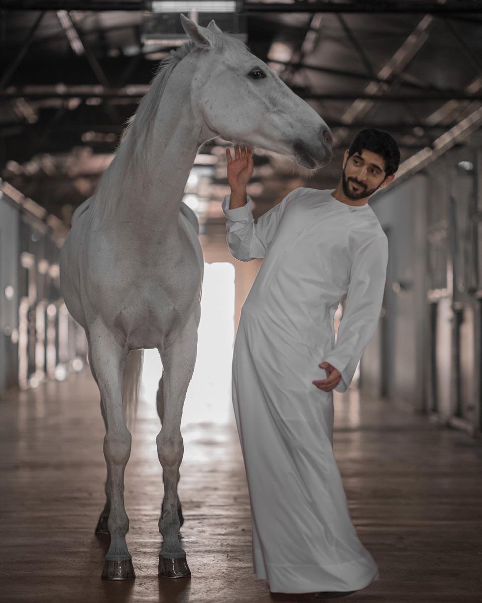 H.H Sheikh Hamdan bin Mohammed #Fazza : You gave me some amazing memories my friend 🐎🏆 Now it's your time to take it easy and train with my View all 285 comments 💙💖
