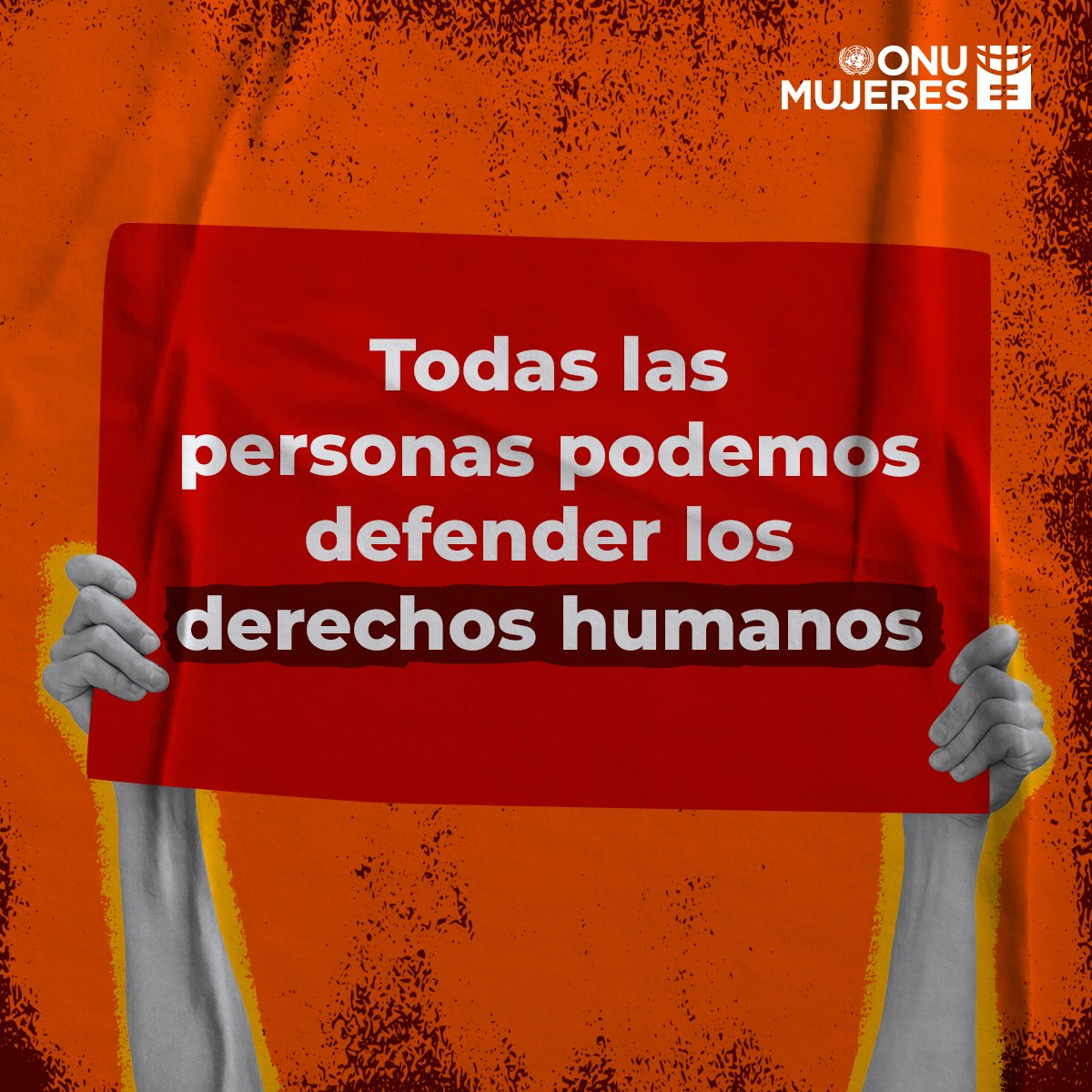 ONU Mujeres tweet media