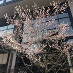 オーセンティックテーブル タバーン AuthenticTableTavernのツイート画像