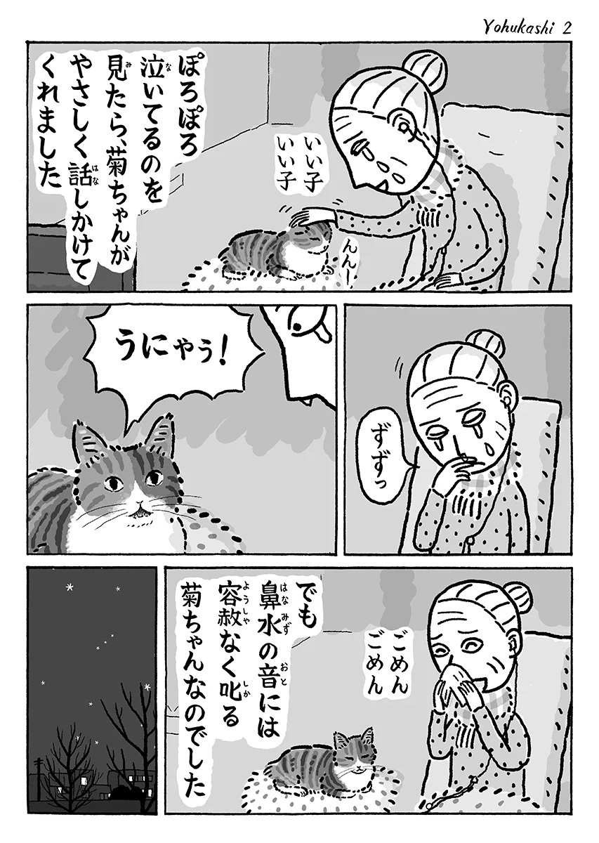 優しくも厳しい…？！猫の菊ちゃんと一緒に映画観賞会！