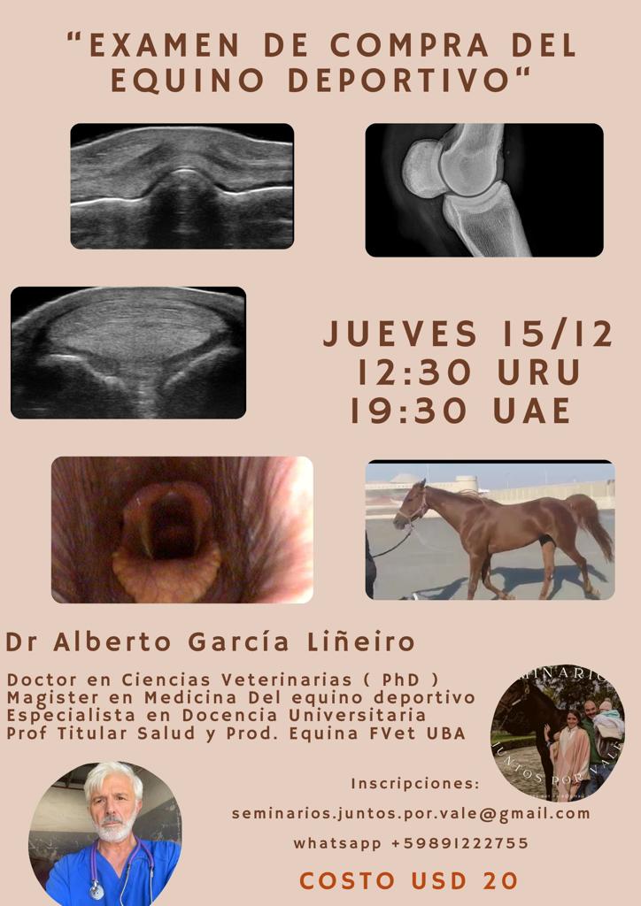 jmarcosdura's tweet photo. Nuevo seminario para ayudar a Vale https://t.co/gailgGUoX9