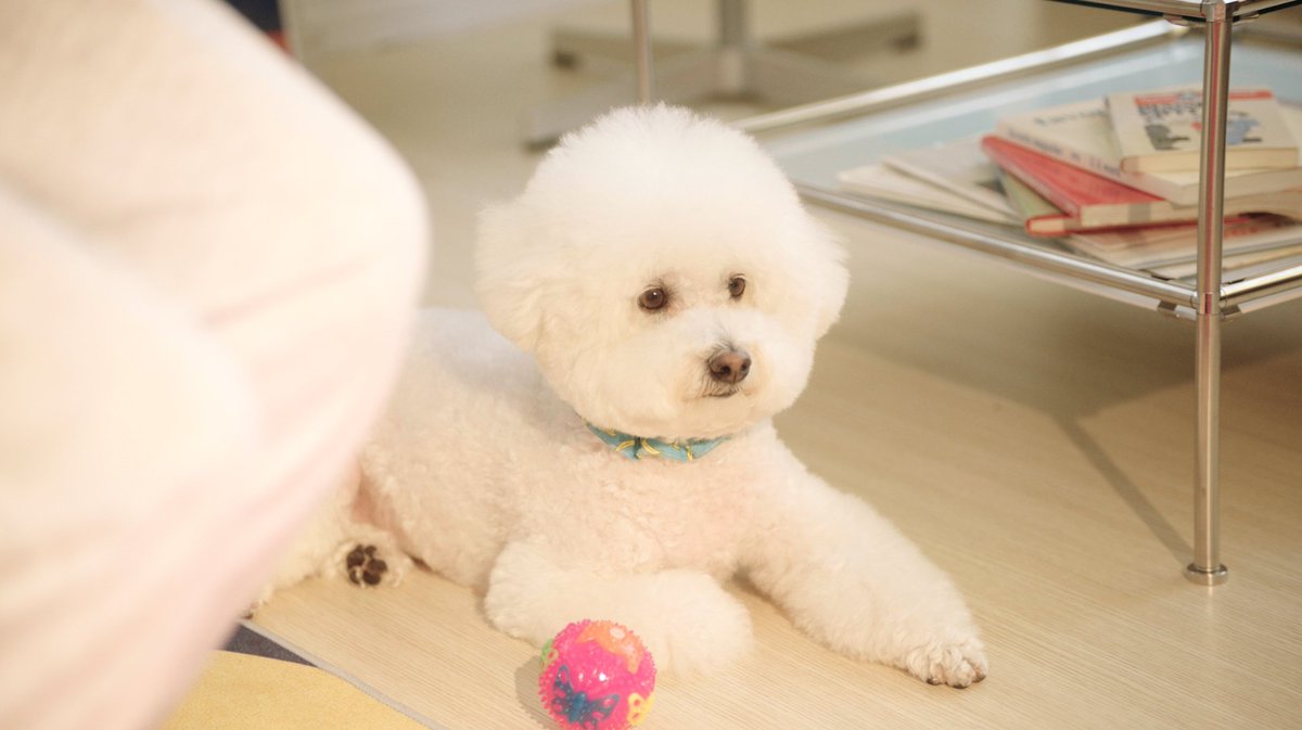 선명석 (@smspro123) on Twitter photo 
