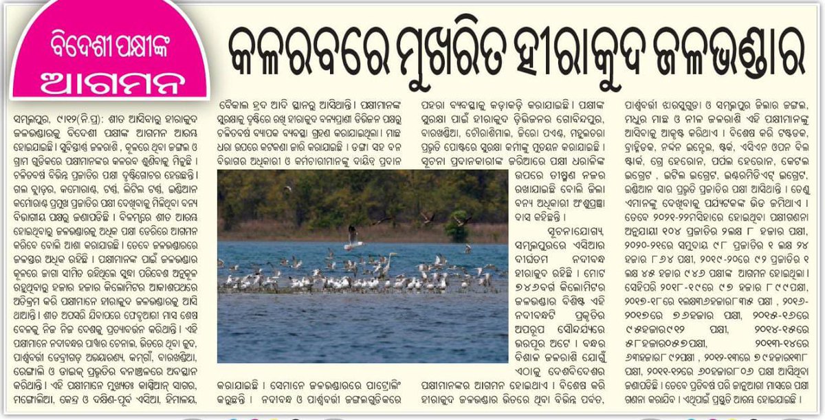 Migratory Birds have arriving at Hirakud Lake.
#Bargarh 
#DebrigarhWildlifeSanctuary
#HirakudWildlifeDivision
#Birding
#HirakudLake
@Vkpandianfancl1 @odisha_tourism @tourismgoi @in_incredible