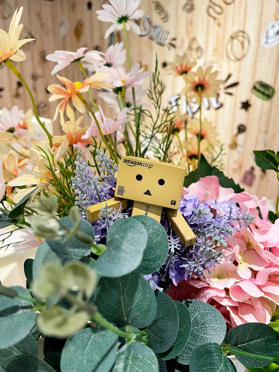 _whymeow_'s tweet photo. #写真好きな人と繋がりたい
#ファインダー越しの私の世界
#ダンボー #Danboard #花 https://t.co/2jHTTCE8Q3