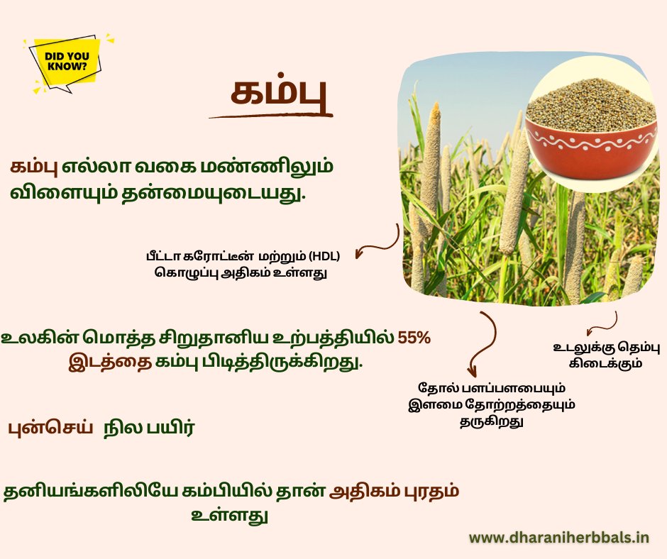 SChemparuthi's tweet photo. #dharaniherbbals
contact:9965523001,9965532001
#CycloneMandous #MandousCyclone #TNRains #Qatar2022 #QatarWorldCup2022 #millets #milletfoods #doyouknow #facts #Messi𓃵 https://t.co/z8jjGL9gIL