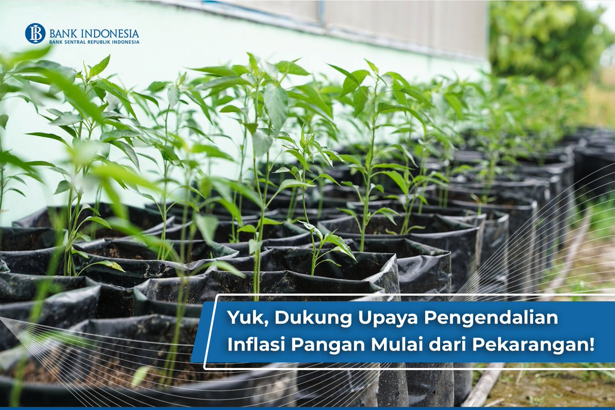 bank_indonesia's tweet photo. #SobatRupiah, BI bersama TPIP &amp; TPID terus bersinergi utk memastikan kestabilan harga serta mencapai ketahanan pangan, agar angka inflasi terus terkendali.
Sobat juga bisa lho #BeriMakna mendukung upaya ini, salah satunya dgn memulai budidaya tanaman pangan di pekarangan😉 https://t.co/ZqaDeeQSm4