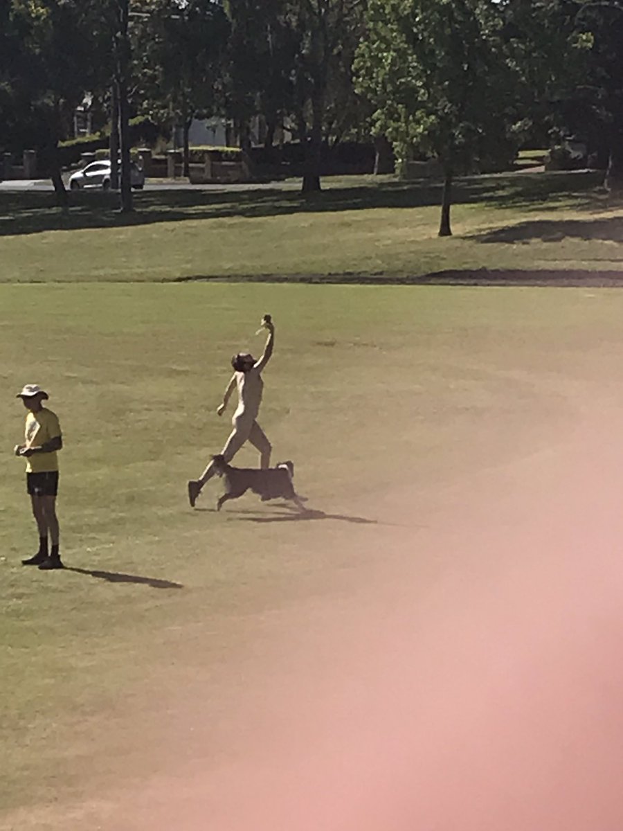 anglerscc's tweet photo. Classic park cricket areas. https://t.co/zmOb4ZmQU3