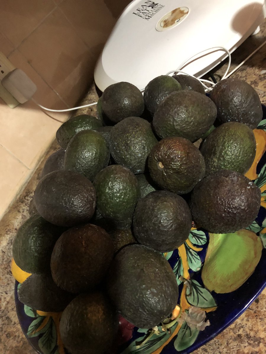 valeen8's tweet photo. Tacos de aguacate con sal por fin🥺🤩 https://t.co/67F0QNpj34