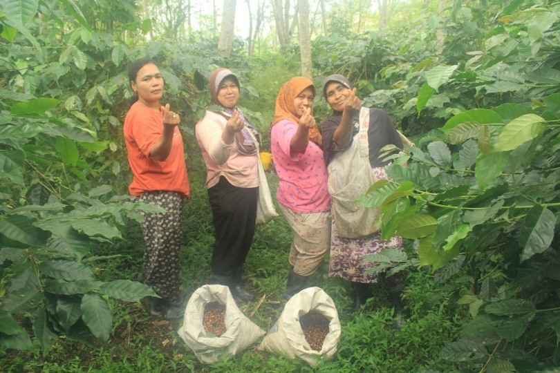 CanEmbIndonesia's tweet photo. Bangga 🇨🇦 dan @UNEP_AsiaPac mampu meningkatkan partisipasi perempuan dalam proses pengambilan keputusan bisnis dan keuangan untuk petani kopi di Aceh melalui Tropical Landscape Grant Fund. Ayo STOP segala bentuk kekerasan berbasis gender terhadap perempuan! #16HAKTP #TLFF https://t.co/usnmVZRr5O