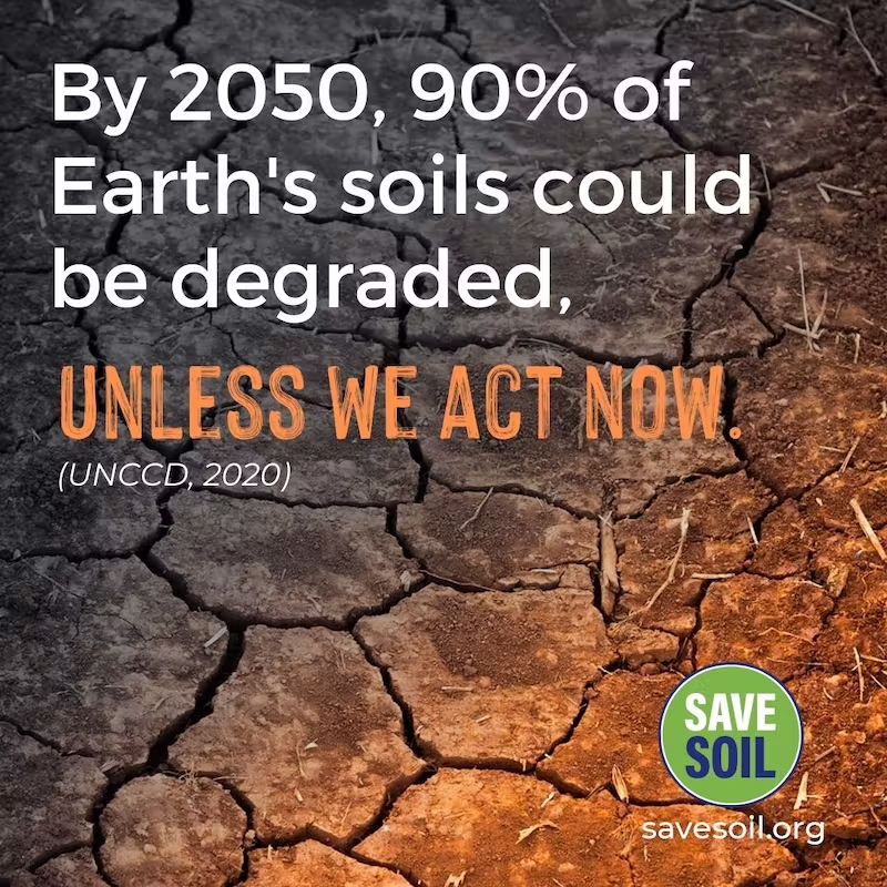 The Iconical🌱 Project Seed Ball tweet media