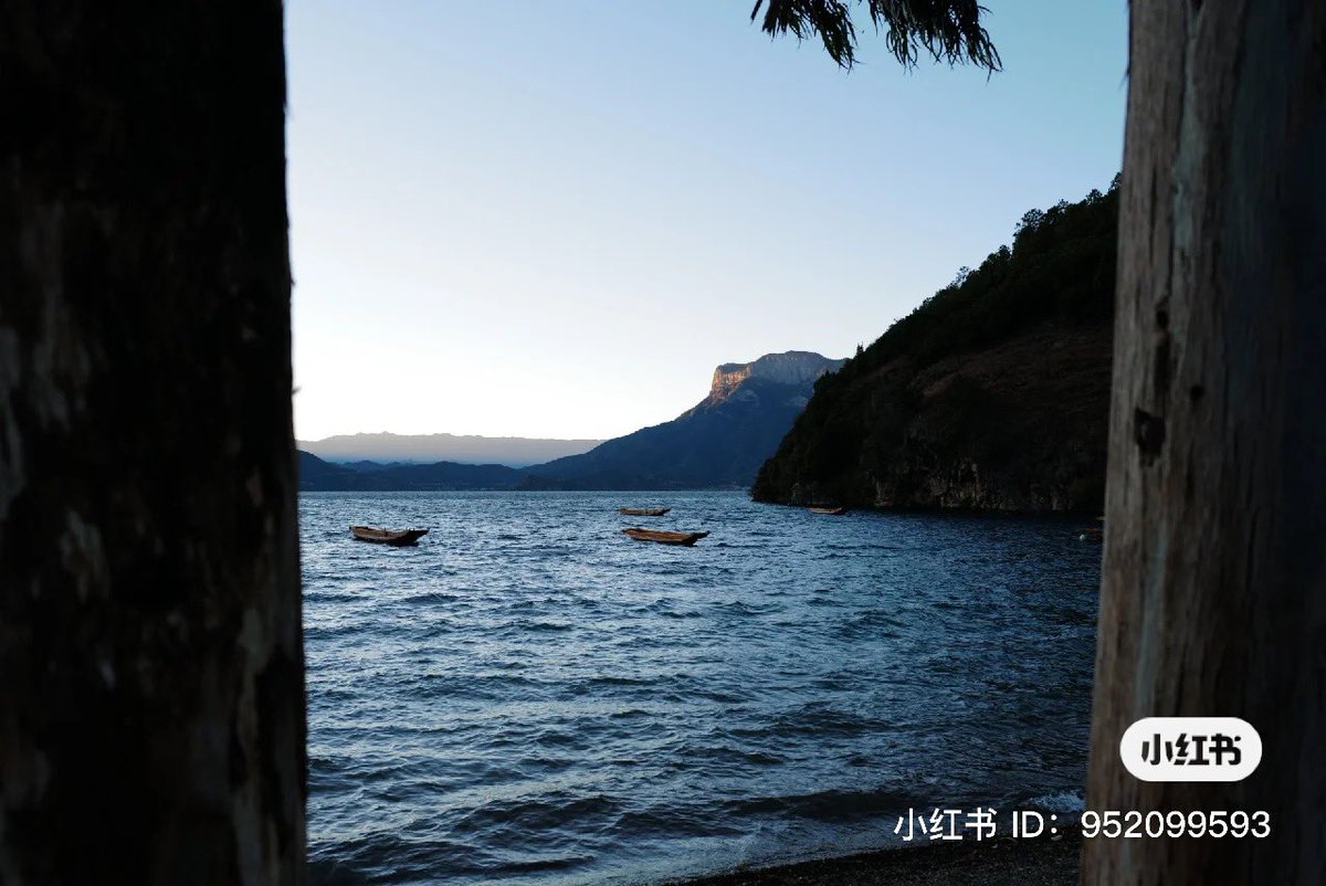 Alt (s/h) read bio tweet media