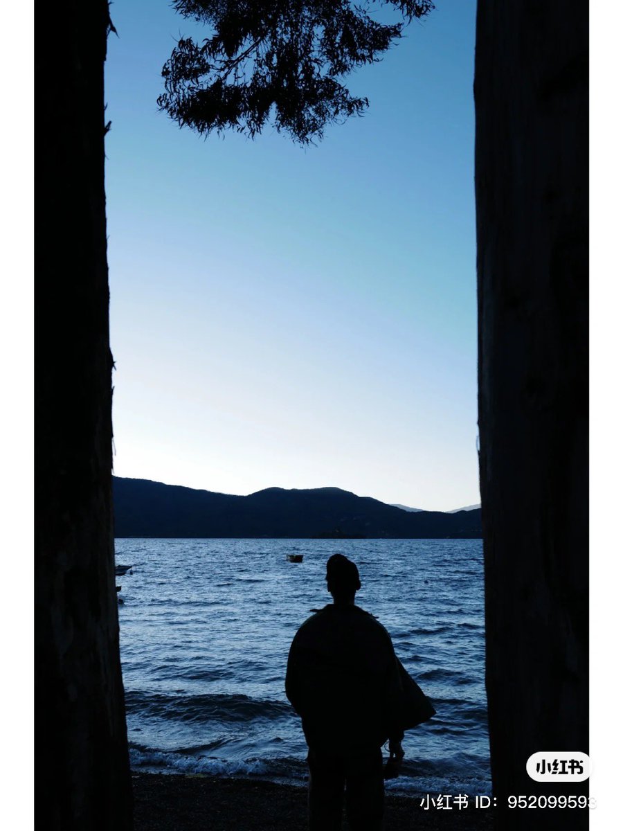 Alt (s/h) read bio tweet media