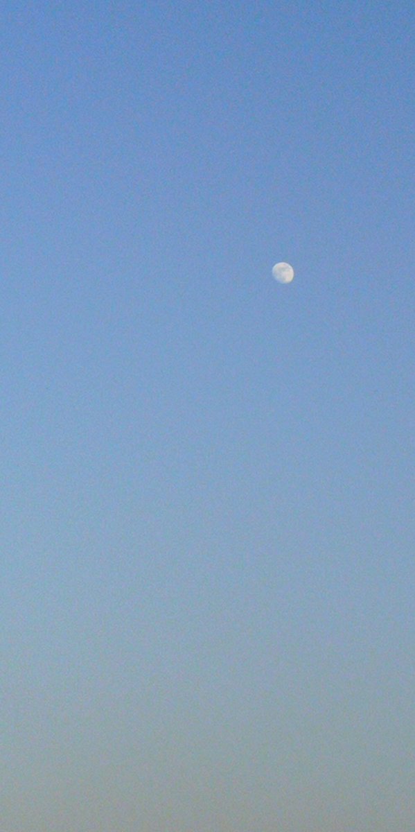 Ajwaniniki07's tweet photo. #currentpicture #photography #moon #Moonlight #skyblue https://t.co/KIkCEmSomo