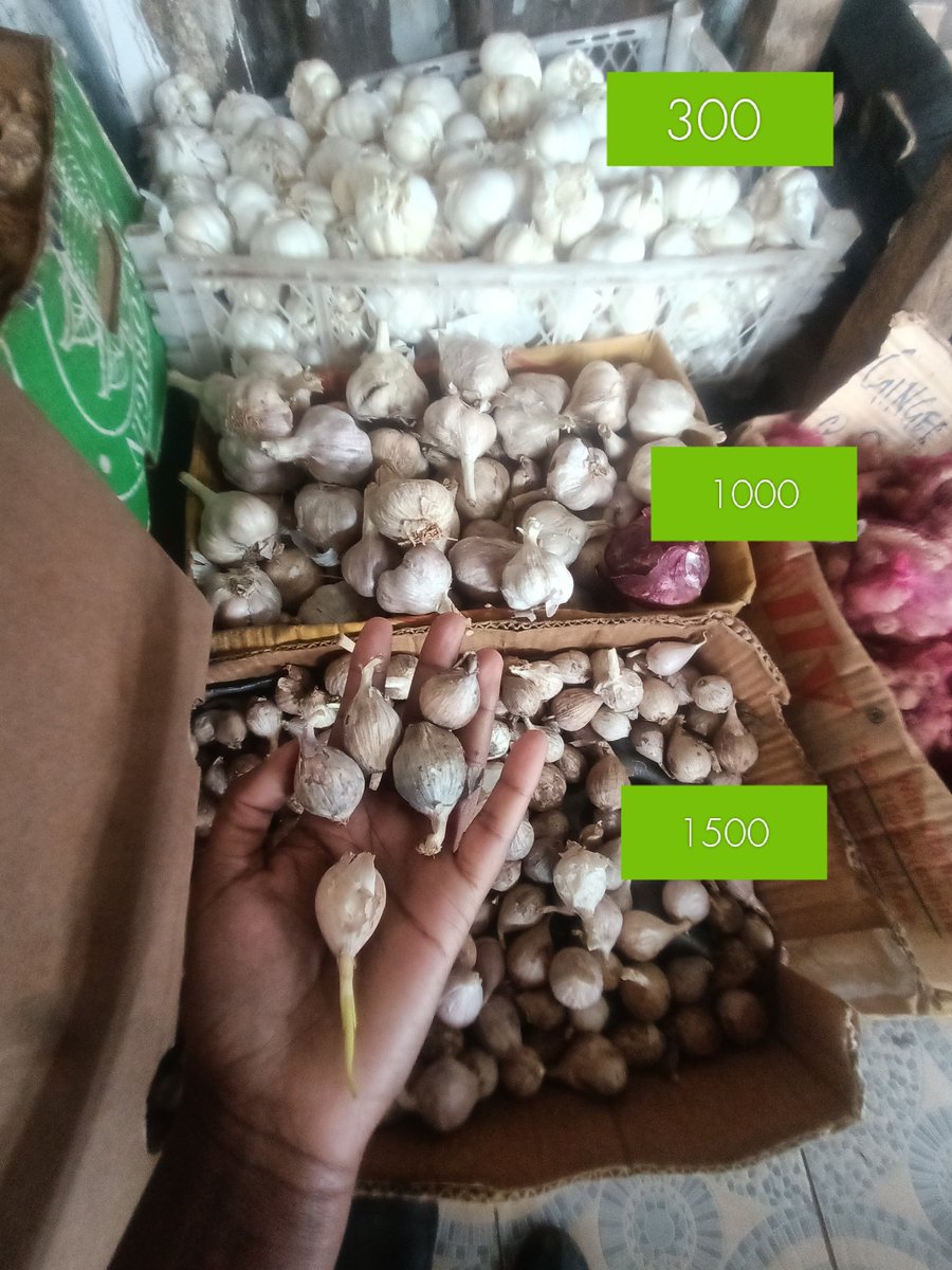 gatwiri (@gatwiri_c) on Twitter photo Garlic is one of those crops that tell you how badly indigenous varieties compete with imported varieties in the market
The single bulb garlic is much more potent but who is buying it at that price?
(Prices are per kg in KShs.) Garlic is one of those crops that tell you how badly indigenous varieties compete with imported varieties in the market
The single bulb garlic is much more potent but who is buying it at that price?
(Prices are per kg in KShs.)