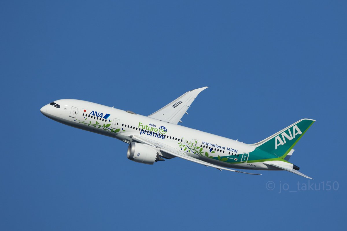 空山基　リトグラフ Amazon.co.jp: 空山基HAJIME SORAYAMA 版画 直筆サイン入り : おもちゃ