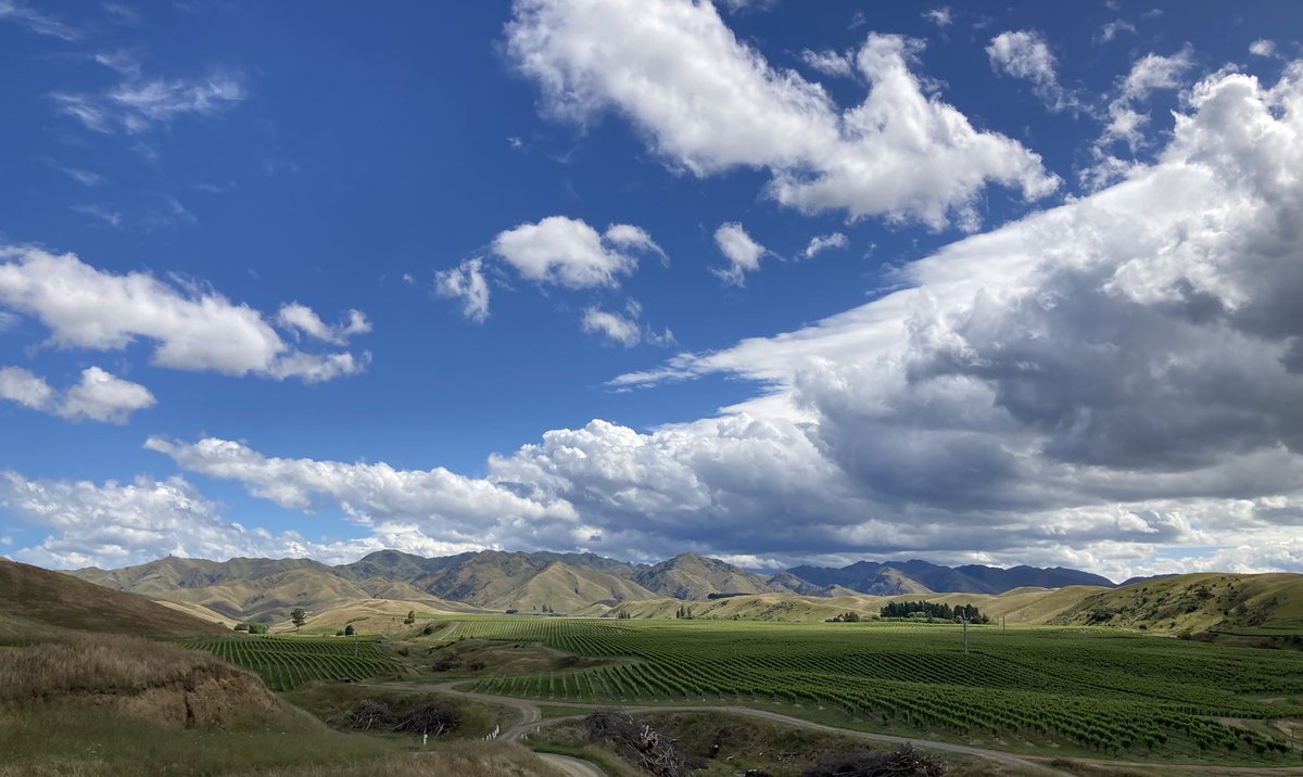 KeaneFarmServ's tweet photo. Busy weekend here in Marlborough wine country @aamsbv testing equipment bringing the highest standards of calibration to New Zealand #getitchecked #sprayright #vintage23 #viticulture #nzviticulture #nzwine https://t.co/rYMh1xSahF