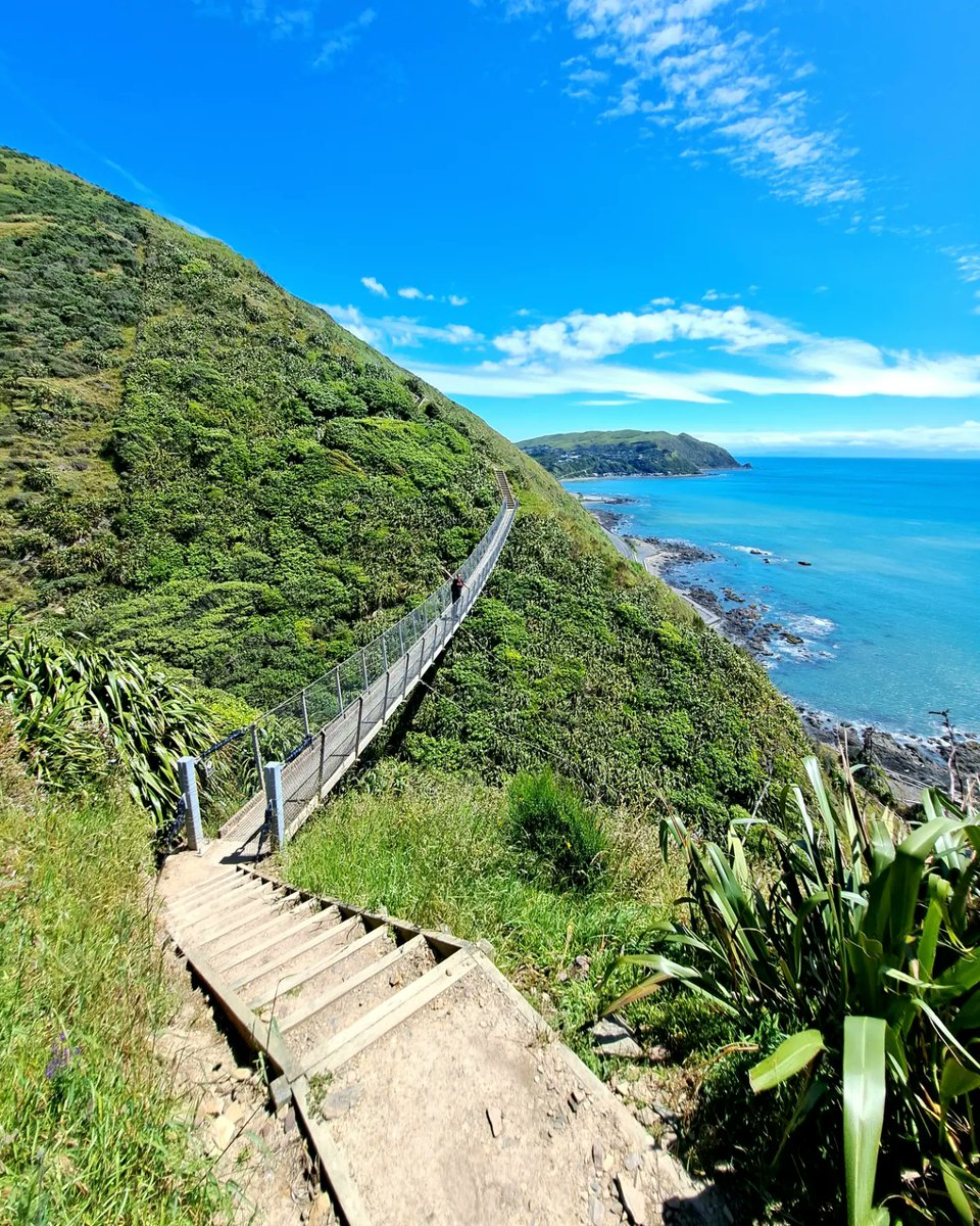 Before we left the north island, I found another walk to do. The Escarpment Track is a 9.4km one-way #hike near Wellington that traverses the mountain. Cue lots of steps, steep edges, heights and suspension bridges. Slightly harder than I was expecting but great fun! #NewZealand