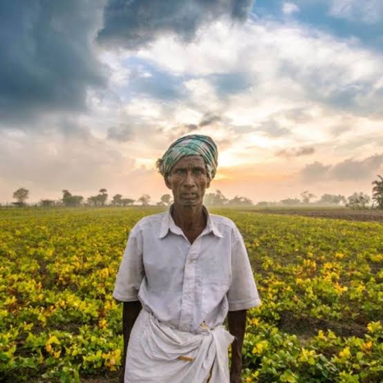 Ishanam2's tweet photo. The increasing pressure on agricultural production systems to achieve global 🌍 food security &amp; prevent environmental degradation necessitates to understand how the incentives offered to farmers motivate the adoption of sustainable agricultural practices📝🌾#SaveSoil @SadhguruJV https://t.co/HwdBxTuKQN