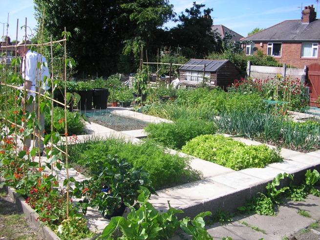 CheshireEast's tweet photo. What is Green Social Prescribing and how can it help to restore nature and improve your mental health and physical wellbeing? Find out more about our FREE green spaces for wellbeing programme here: https://t.co/AWIZJKR3V5 #SeeHowWildnessCanHelpYourWellness https://t.co/SmWcpzmuXU
