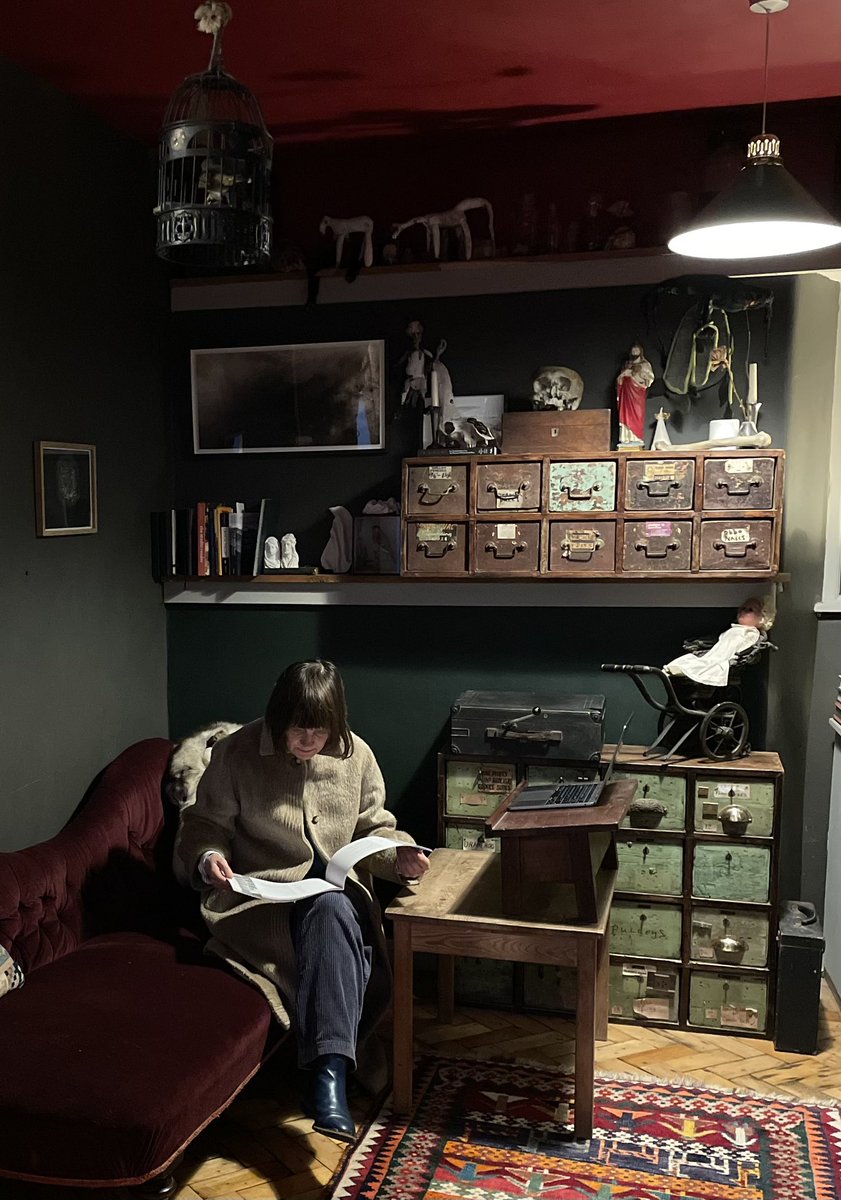 artofgrieving's tweet photo. DUST has had a revamp after being closed for a few months. We open today with a book reading by @BronBuck launching her book Widowhood, a book about longing, love and pigeon fanciers. 4-7 at DUST 4-5 Albert buildings, TR182DB Penzance https://t.co/UkRfu3ADds