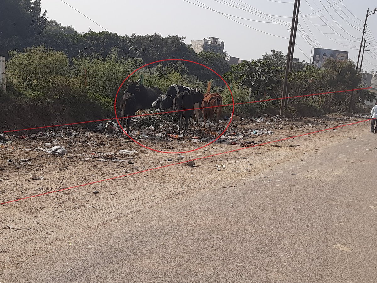 AkashNagarGZB's tweet photo. @dm_ghaziabad @GzbNagarNigam @sbm_ghaziabad @Mayor_Ghaziabad @UPGovt @myogiadityanath @SwachhBharatGov @swachhbharat साफ - सफ़ाई होने के अगले दिन से ही यहाँ फिर से कूड़ा डाला जाने लगा। कोई रोक-टोक/ नियम कानून नहीं है, कूड़ा कहीं भी डाला जा रहा है। कृपया आवश्यक कार्रवाही करें, और यहाँ ��ही से साफ - सफ़ाई कराने की कृपा करें। https://t.co/XaCz5EtiuG
