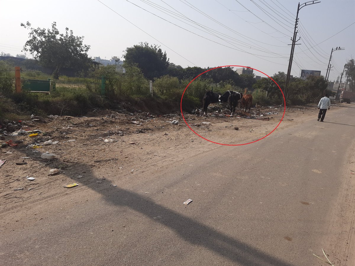 AkashNagarGZB's tweet photo. @dm_ghaziabad @GzbNagarNigam @sbm_ghaziabad @Mayor_Ghaziabad @UPGovt @myogiadityanath @SwachhBharatGov @swachhbharat साफ - सफ़ाई होने के अगले दिन से ही यहाँ फिर से कूड़ा डाला जाने लगा। कोई रोक-टोक/ नियम कानून नहीं है, कूड़ा कहीं भी डाला जा रहा है। कृपया आवश्यक कार्रवाही करें, और यहाँ ��ही से साफ - सफ़ाई कराने की कृपा करें। https://t.co/XaCz5EtiuG