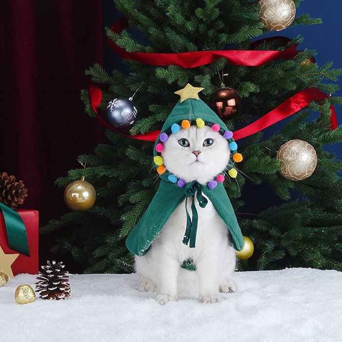 funplus9's tweet image. 크리스마스가 얼마 안 남았네요~

#크리스마스#크리스마스소품#고양이케이프코트#고양이망토#고양이겨울의류#