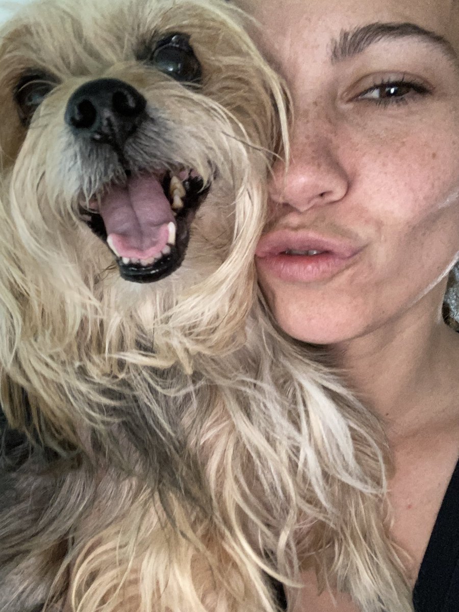 brighthaloglass's tweet photo. #dog #morkie #GoFundMe #Grateful #thankyou #Family https://t.co/6KNkB44eSA