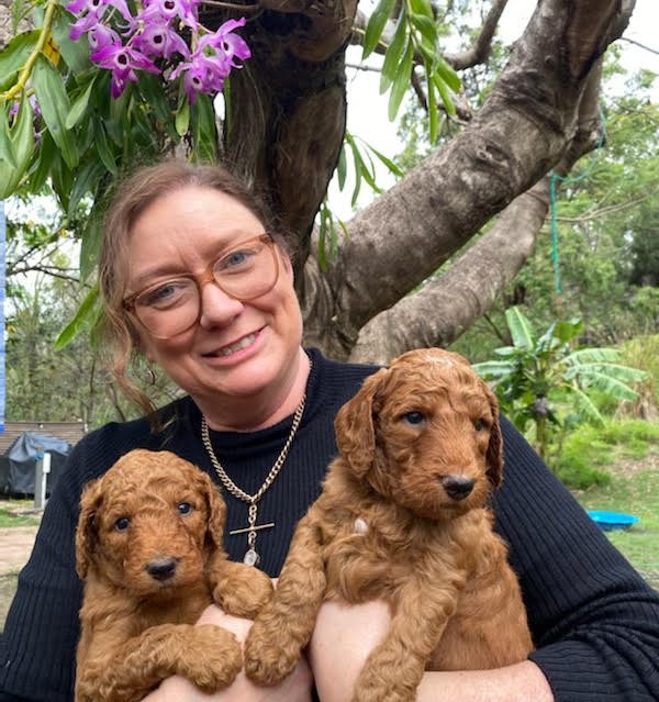 vets4climateact tweet media