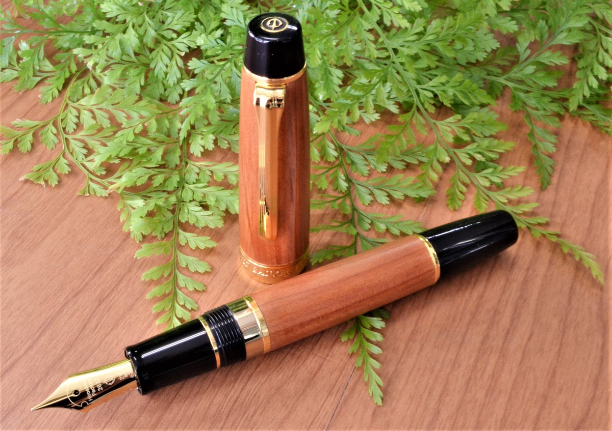 ペンポイント (@PenPoint0725) / Posts / X