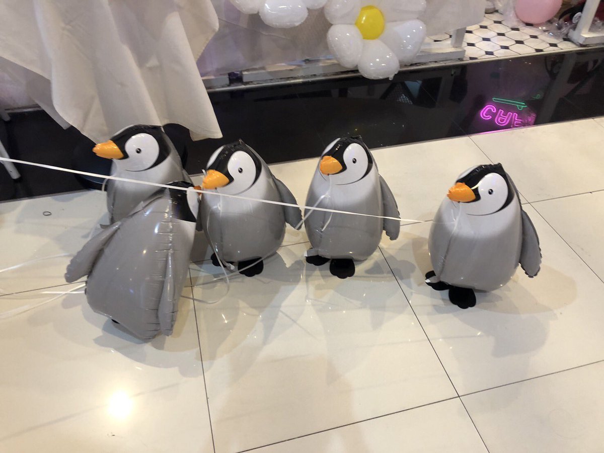 TamagosFarm's tweet photo. น้อนๆ เดินกันวุ่นวายก่อนจะเข้าซุ้ม 🐧💨 https://t.co/bY3nxRnzNu
