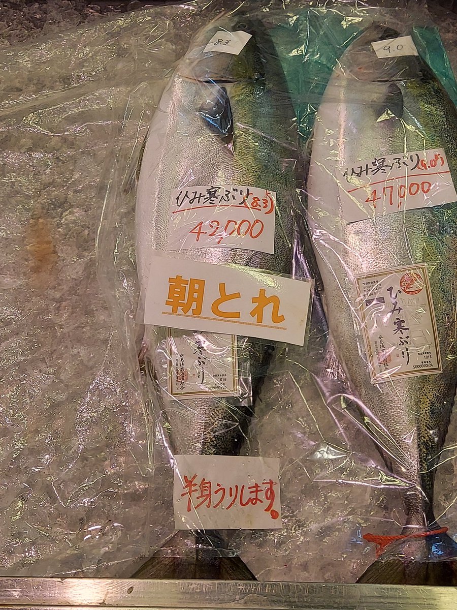 kugetu18's tweet image. 氷見の寒ぶり買った！！