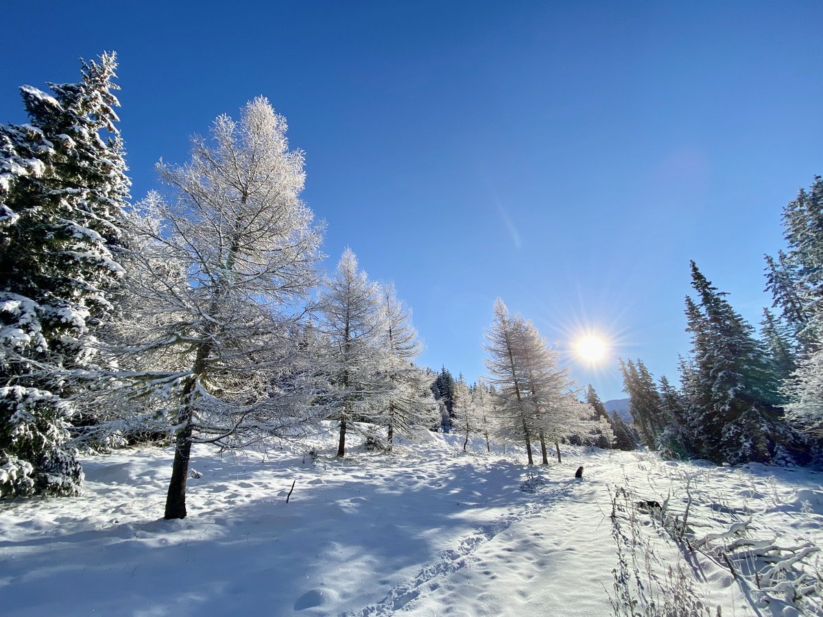 le meilleur 🌴☀️😉 tweet media