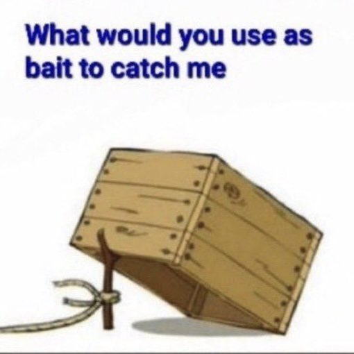 𝘈𝘥𝘥𝘪𝘨𝘢𝘭𝘦 𝘚. ✨🍂 tweet media