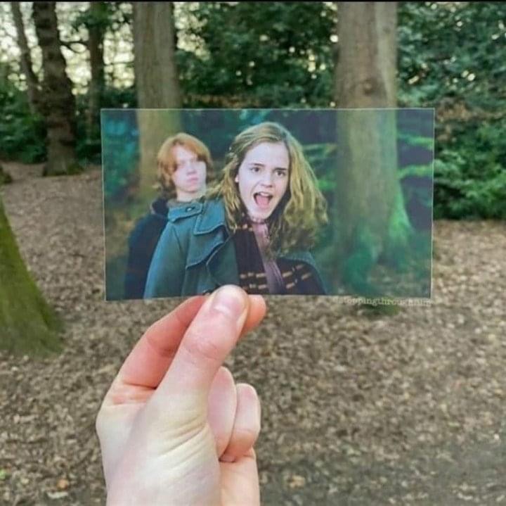 TheDailyHPotter's tweet photo. Harry Potter in real life 🤩 https://t.co/sF1GJcJEsN