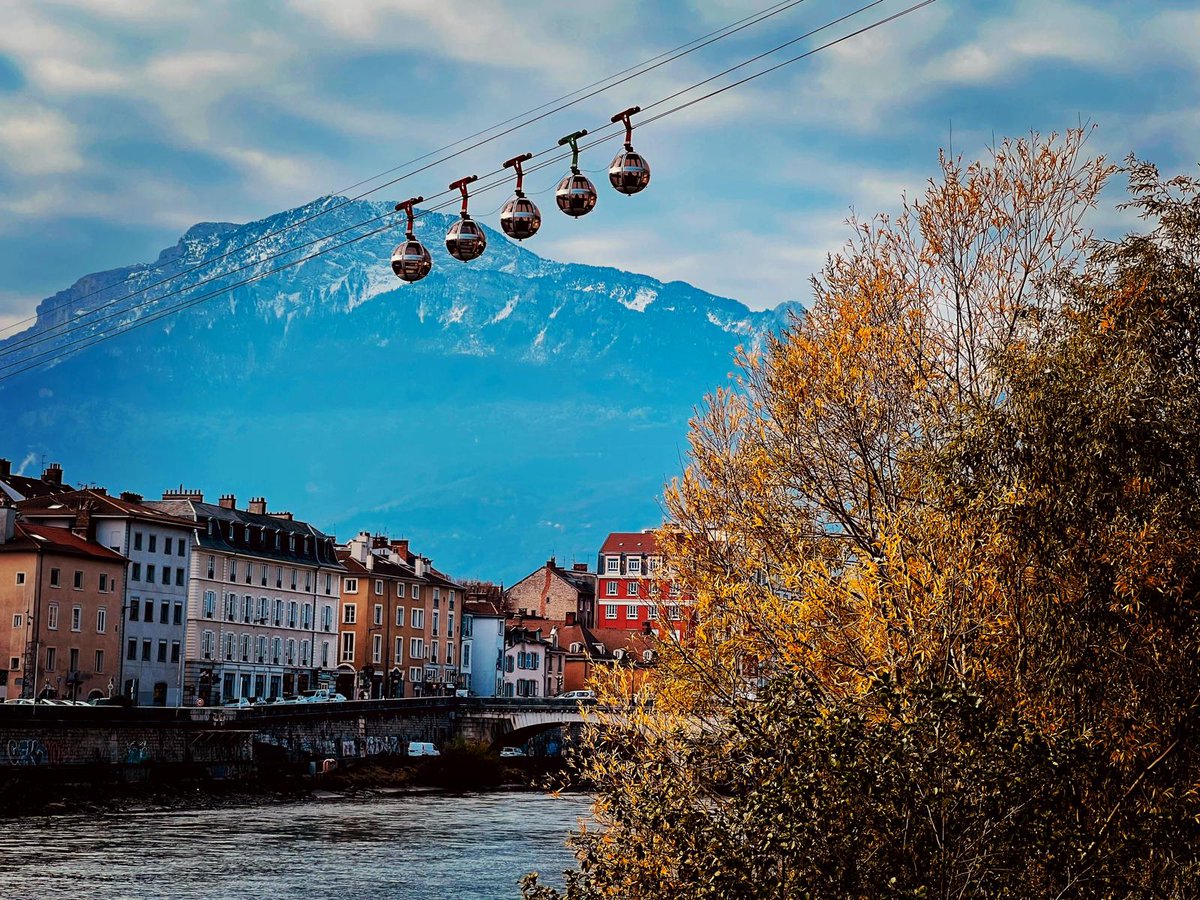 Molly Bishop tweet media