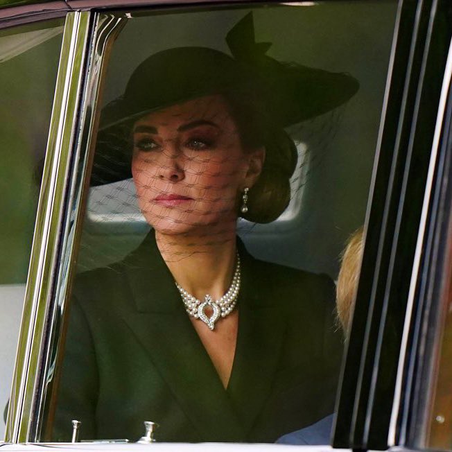 Canellecitadelle tweet media