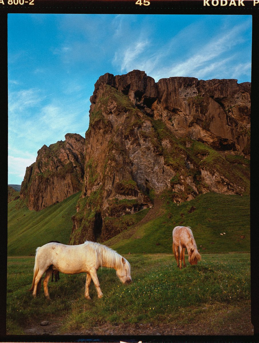 Iceland, captured on film