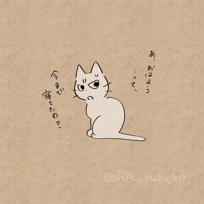 ゴロゴロしてるうちに寝落ちしてしまう人を叱ってくれる猫 