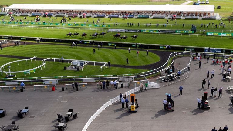 At The Races tweet media