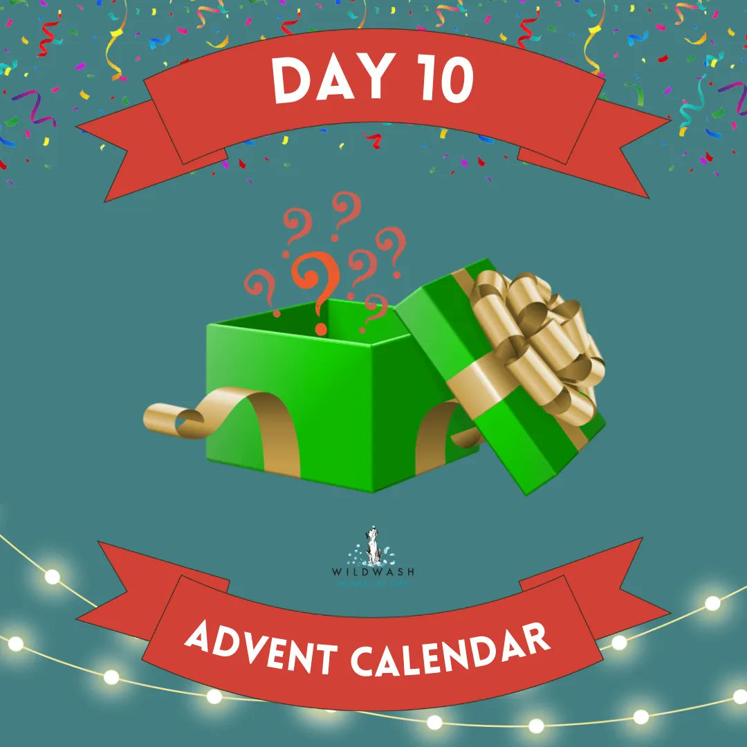 WildWash's tweet photo. DAY 10 - Christmas Giving ๐ป ๐
Did you try our Hydrating Shampoo with Organic Aloe Vera?
https://t.co/FAnnQrPEn3
#wildwash #puppies #puppy #naturaldogshampoo #dogs #organicshop #puppiesofinstagram #puppylove #wildwashorganic #dogoftheday #cute #doglover #organiccare https://t.co/fJMjCWnUoA