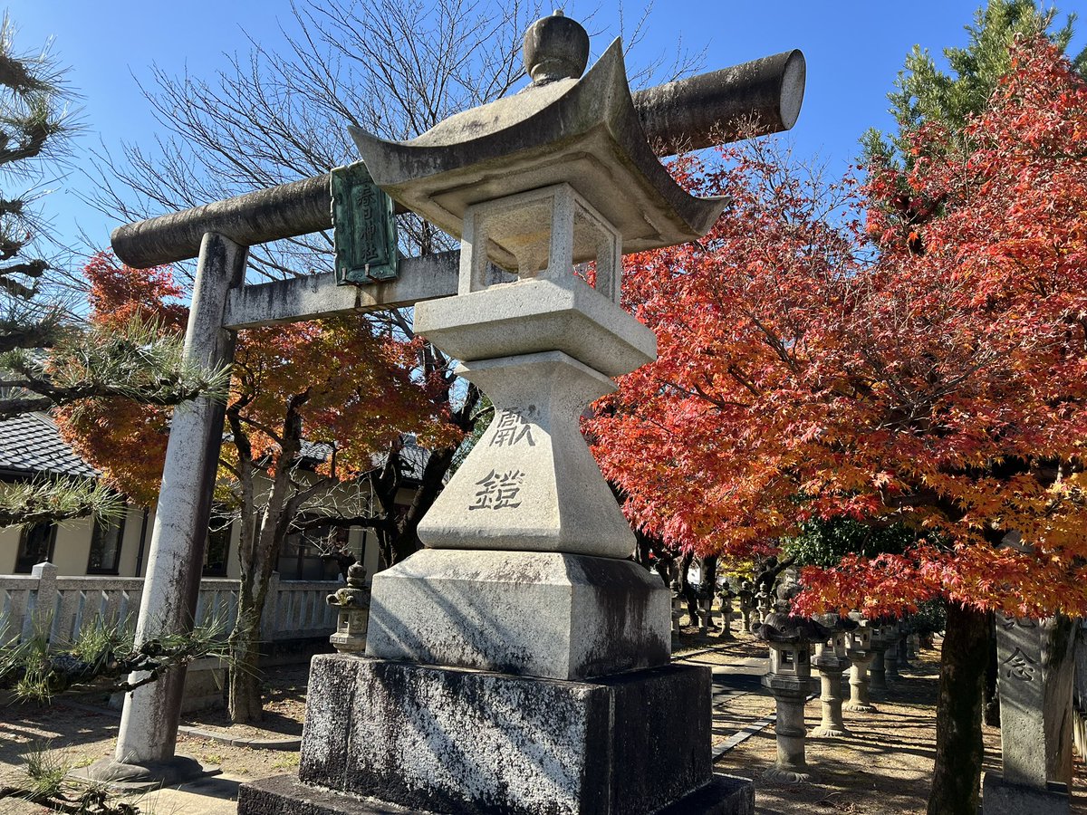 Japan_Australia's tweet photo. A beautiful day today to enjoy some of the final autumn colours at Kasuga Shrine in Gifu City 🍁 #Gifu #Japan #Autumn #travel https://t.co/vUsOyuoqpb