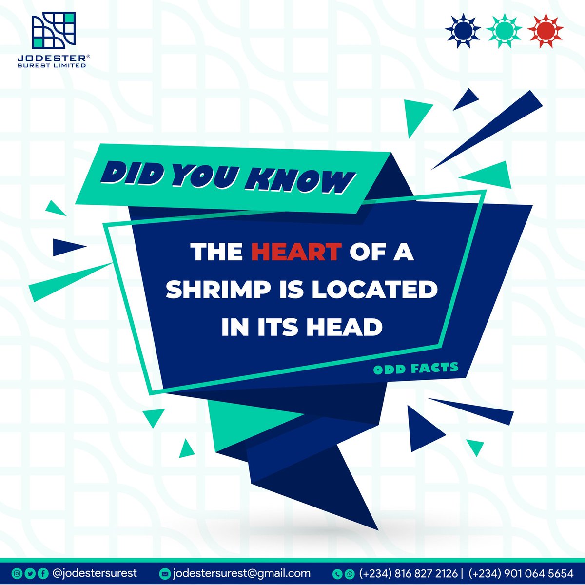 jodestersurest's tweet photo. Odd facts
Do you know?
#oddfacts #joedester #jodester #explore #graphicsdesign #designer #dataanalyst #freelancing #digitalmarketing #business #growth https://t.co/CgRMNeMi5Y
