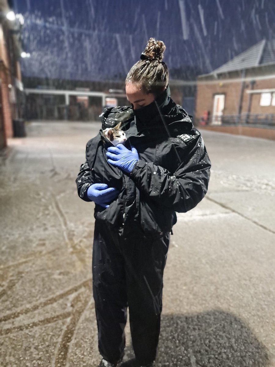 It’s a good job Teddy is spoilt here at <a href="/MerPolMounted/">Mer Pol Mounted</a>. One of our officers is keeping him warm