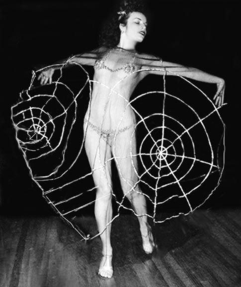 jonyballistic's tweet photo. The Spider web has many steps...
#treadsoftly #embrace https://t.co/z1v71FcGkX