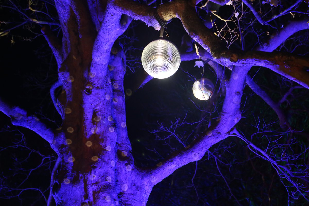 My Guided Walk tweet media