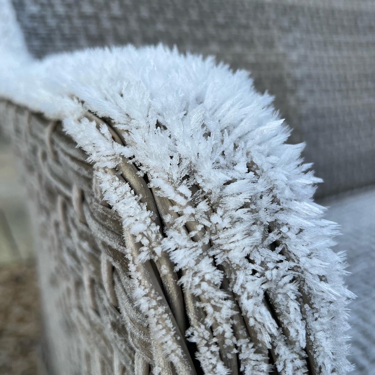 alk_info's tweet photo. Le QG d’ALK sous le gel. Bonne journée à toutes et tous !
ALK HQ under a heavy frost. Have a good day all!
#morning #hoarfrost #cold #treat #breakfastout #langtwt https://t.co/BjpblRcaKG