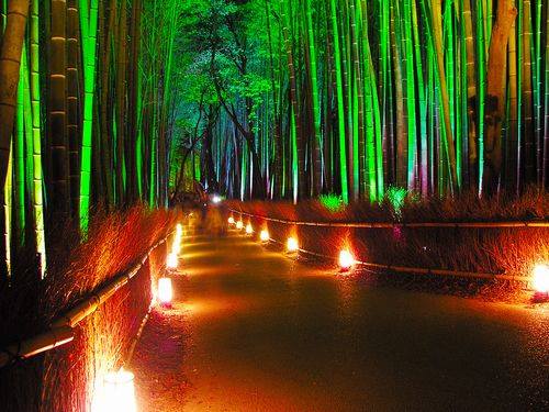 mk0715shape's tweet photo. フォロワーさん大募集！

お願い
#フォロー
#固定RT

お礼
#フォロバ
#固定RT 

#フォロバ100
#フォロバ100パーセント
#相互フォロー支援 
#いいねした人全員フォロー
#RTした人全員フォロー
#相互フォロー
#相互フォロー100
#固定ツイートをRT
#拡散希望 
#拡散RT希望 
よろしくお願い致します！！！ https://t.co/mBMYBudeBU