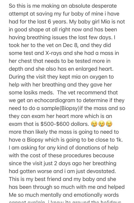 Well this is me making an absolute desperate attempt at getting my poor kitty the test and treatments<a href="/tag/newprofilepic"class="tags"><span>#newprofilepic</span></a>